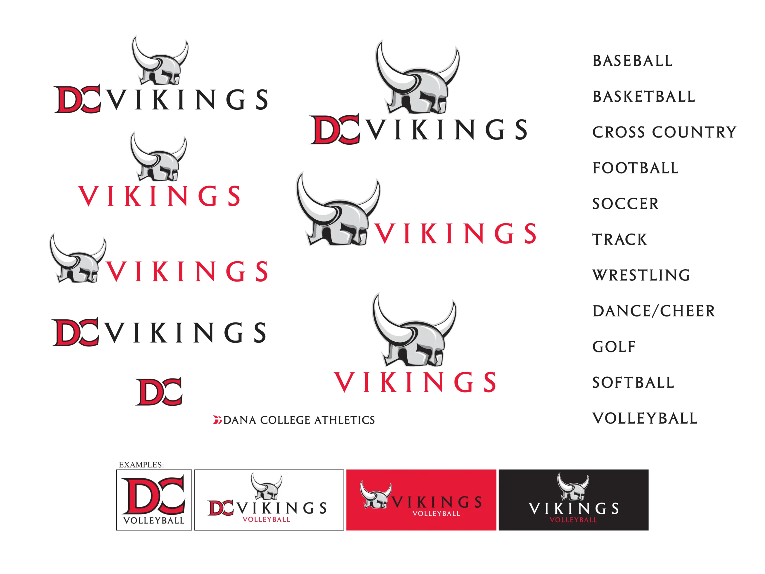 Dana College Vikings 2